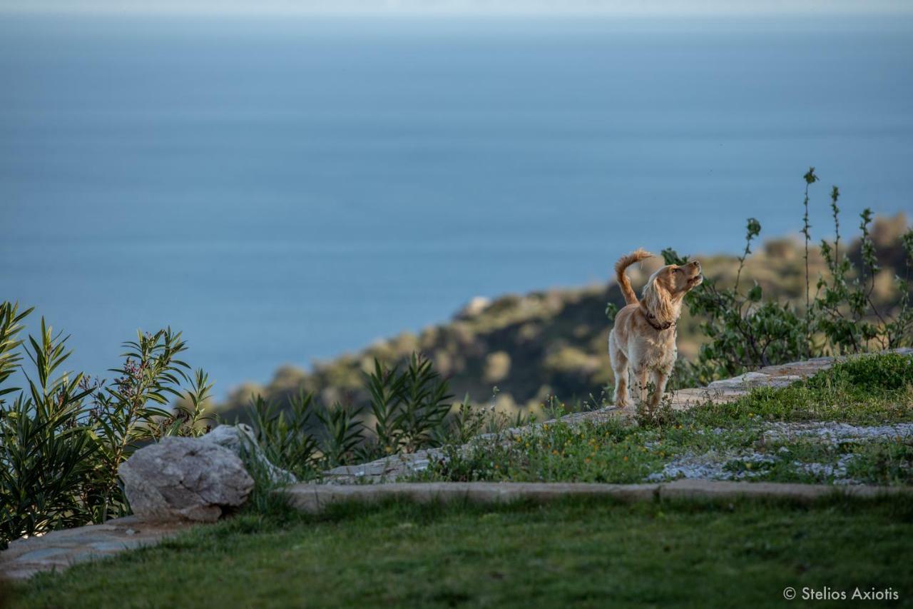 Aegean Panorama Apartments Akhladherí Buitenkant foto